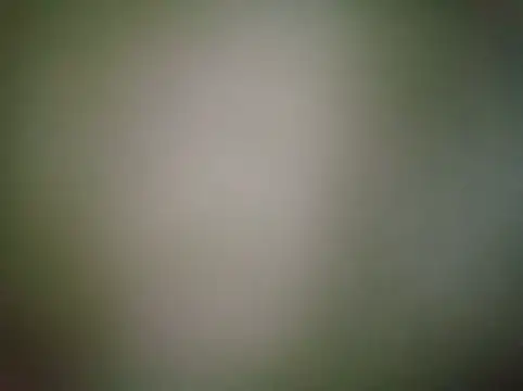 XHumbleD online show from February 13, 5:14 am