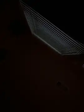 goldbuni online show from November 29, 12:52 pm