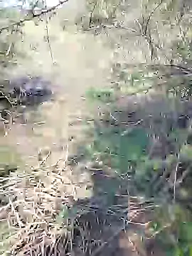 Snapshot of 88karan88 chatting on January 25, 8:10 am 88karan88 online show from January 25, 8:10 am