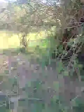 Snapshot of 88karan88 chatting on February 27, 3:47 am 88karan88 online show from February 27, 3:47 am