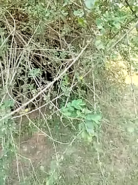 Snapshot of 88karan88 chatting on March 1, 10:24 am 88karan88 online show from March 1, 10:24 am