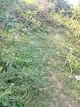 Snapshot of 88karan88 chatting on March 4, 10:46 am 88karan88 online show from March 4, 10:46 am