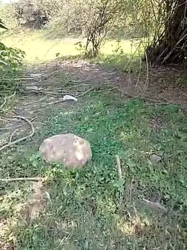 Snapshot of 88karan88 chatting on March 5, 4:34 am 88karan88 online show from March 5, 4:34 am