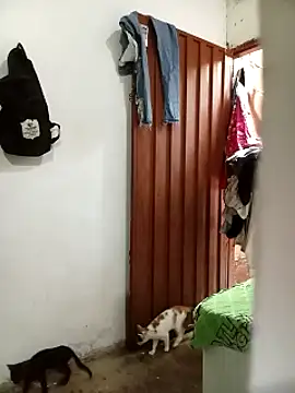 Snapshot of Andreita_95 chatting on November 13, 11:31 am Andreita 95 online show from November 13, 11:31 am