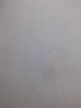 Snapshot of AmnionicDemeanor chatting on October 31, 4:24 am AmnionicDemeanor online show from October 31, 4:24 am