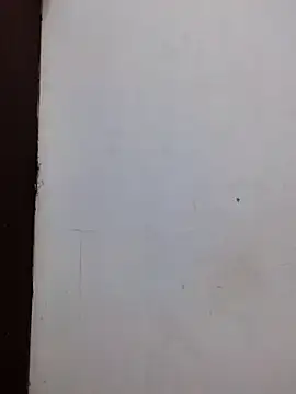 Snapshot of AmnionicDemeanor chatting on November 2, 11:56 am AmnionicDemeanor online show from November 2, 11:56 am