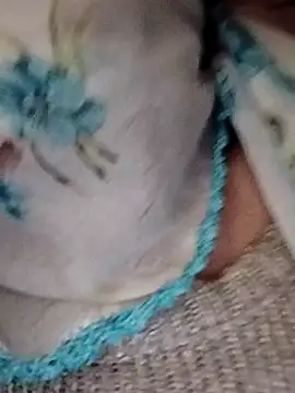  BaHaR  online show from September 21, 8:16 am