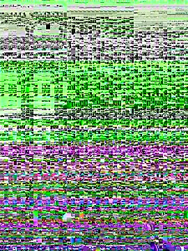 NDith online show from December 2, 5:02 am