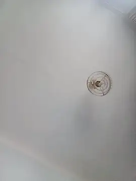 katymojadit online show from January 20, 3:28 pm