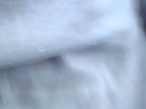 Snapshot of Bootiq chatting on October 22, 9:53 am Bootiq online show from October 22, 9:53 am