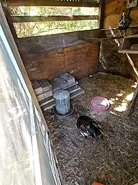 Mistress Melissa online show from February 3, 4:41 pm