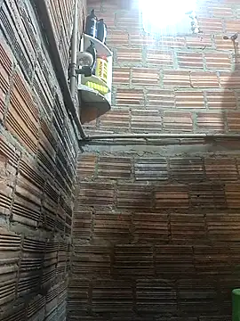 RS1995Poa1 online show from December 4, 10:13 am