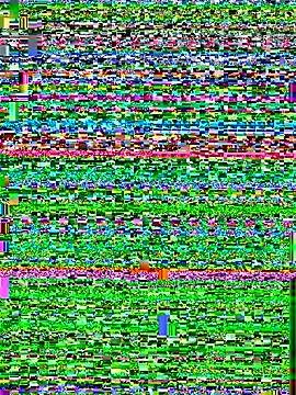 king cum  online show from October 25, 1:29 pm