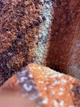 king cum  online show from November 8, 1:17 am