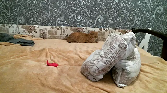 DennisXCaroll online show from February 19, 5:27 pm