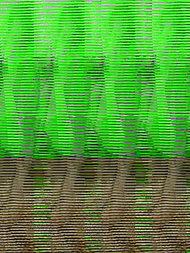 Snapshot of HimiJim chatting on November 10, 11:42 am HimiJim online show from November 10, 11:42 am