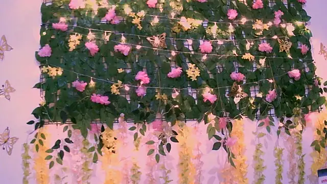 Crysrus online show from December 2, 1:03 am