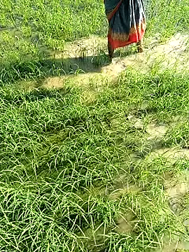 Snapshot of hairipussy2 chatting on February 7, 3:55 am hairipussy2 online show from February 7, 3:55 am