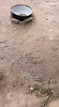 Snapshot of hairipussy2 chatting on February 20, 10:59 am hairipussy2 online show from February 20, 10:59 am