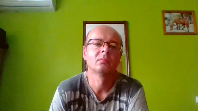 Tiger202441 online show from July 1, 8:49 am