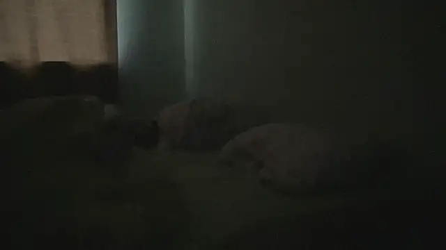 Snapshot of Diamond_Tyler chatting on February 3, 4:57 am Diamond Tyler online show from February 3, 4:57 am