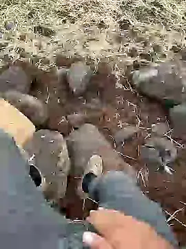 murokkk31 online show from December 11, 12:23 pm