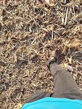 murokkk31 online show from September 30, 1:49 pm