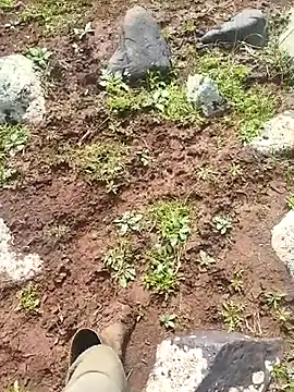 murokkk31 online show from March 30, 7:09 am