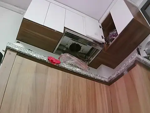 Snapshot of -SingleMom- chatting on October 8, 3:48 am -SingleMom- online show from October 8, 3:48 am