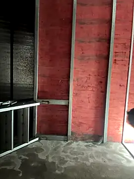 Hellen 111 online show from November 11, 3:12 pm