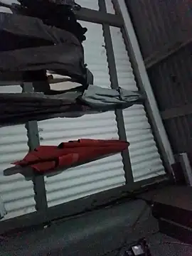 Algenis1232 online show from November 4, 7:29 am