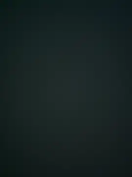 publicsir online show from November 25, 2:17 pm