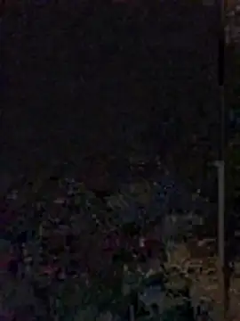Yoko0381 online show from June 12, 5:39 am