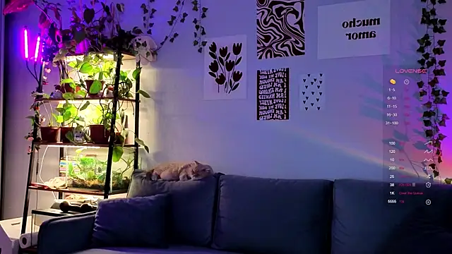 Snapshot of Your_Corvus chatting on December 5, 9:51 am Your Corvus online show from December 5, 9:51 am