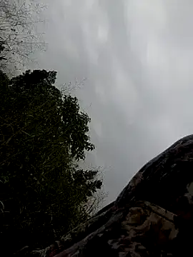 Sherry she online show from February 2, 6:58 am