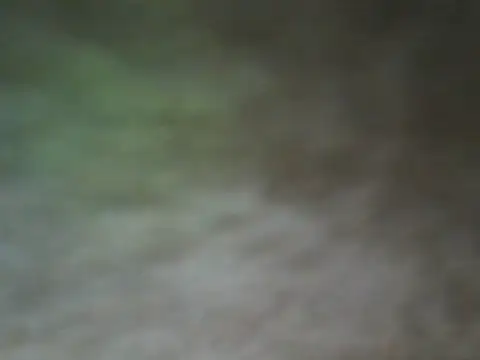 Snapshot of ShivamFactor3 chatting on November 28, 5:48 pm ShivamFactor3 online show from November 28, 5:48 pm