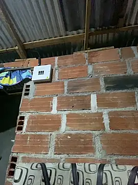 AlexaWarner online show from March 22, 11:41 pm