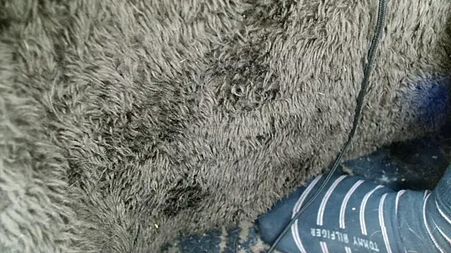 Gigadickman online show from December 13, 9:02 am