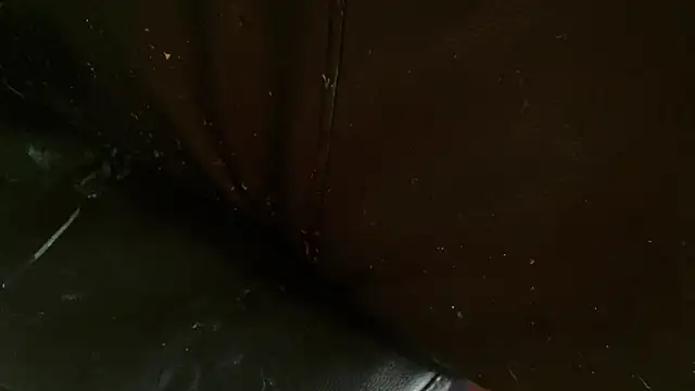 Gigadickman online show from January 2, 10:11 pm