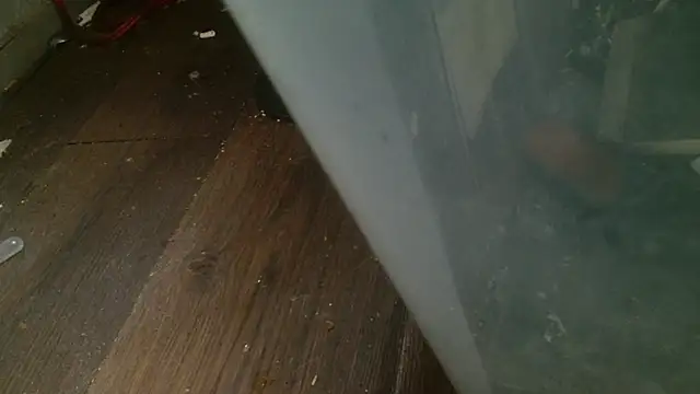 Gigadickman online show from February 27, 4:31 am