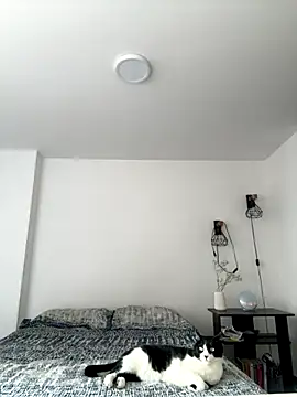 SofiaG  online show from October 4, 7:01 pm