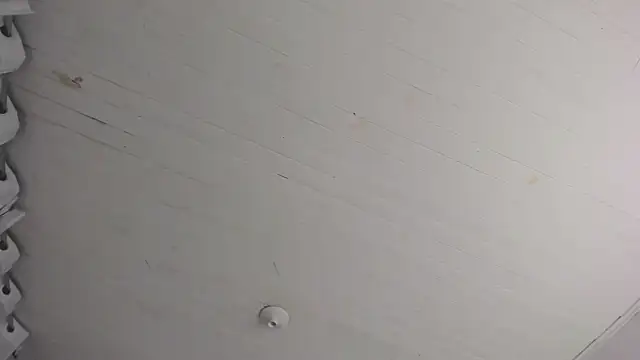 TiffanyWright online show from November 29, 10:40 am