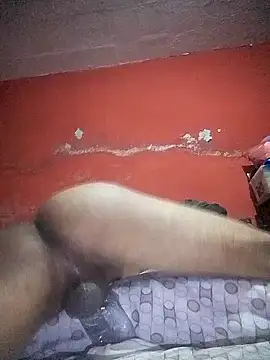 VL25DN26 online show from December 22, 1:33 pm