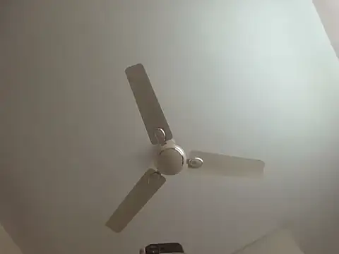 arjun 077 online show from November 8, 6:07 pm