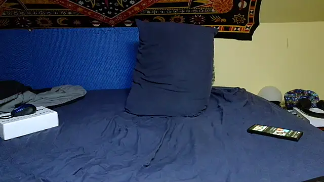 Spacecase2021 online show from January 7, 5:54 am