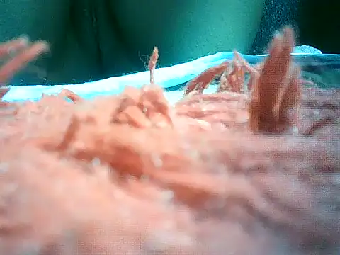 mumbi91 online show from January 10, 10:57 pm