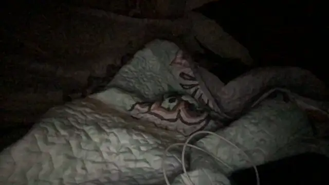 loveofbea online show from October 23, 5:07 am