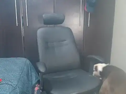 blzed420 online show from February 15, 11:14 pm