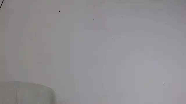 Niurca01  online show from October 5, 10:51 pm