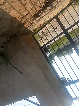 rjxraj online show from October 23, 4:34 am